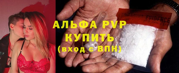 молекула духа Бугульма